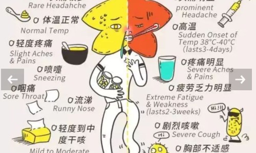 仁和胃药-仁和胃灵说明书网 - 网站提供仁和胃康灵胶囊的功效与作用小常识、仁和胃灵颗粒的功效与作用